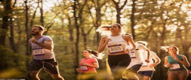 剧院舞台木地板保养服务